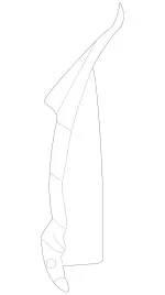 2205050988 - Radiator: Cover for Mercedes-Benz: S430, S55 AMG Image