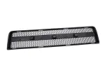 22687966 - Body: Grille for GM Image