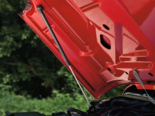 82212798 - : Hood Props for Jeep Accessories Image