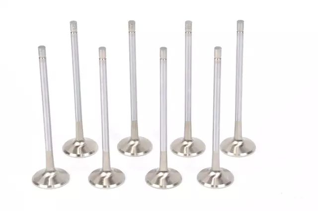 19259435 - : VALVE KIT for GM Image