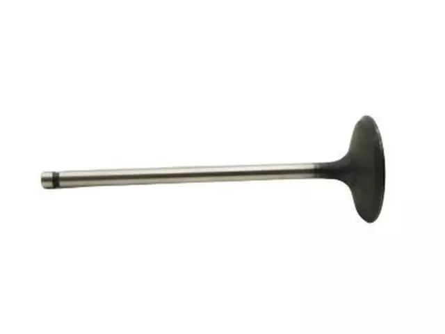 Intake Valve - Ford (3S4Z-6507-AA)
