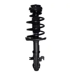 810100 - : PRT 810100 Suspension Strut and Coil Spring Assembly for PRT PERFORMANCE RIDE Image