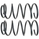81234 - : Front Coil Spring Set for Moog Image