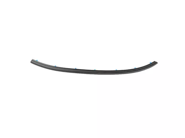 68287578AA - Doors, Door Mirrors and Related Parts: Rear Door Opening Weatherstrip for Mopar Image