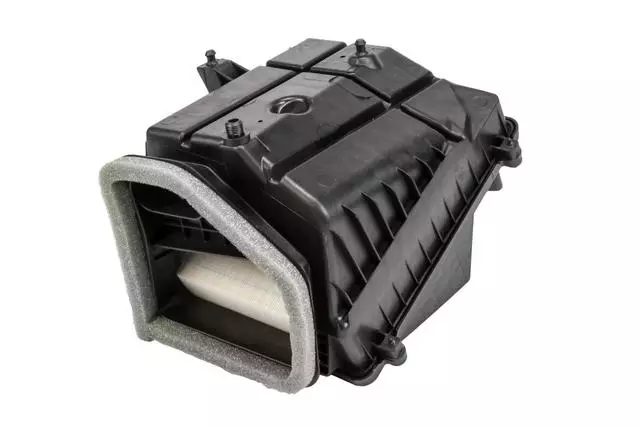 Air Cleaner - GM (22844820)