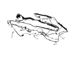 68649733AF - Electrical: Body Wiring for Mopar Image
