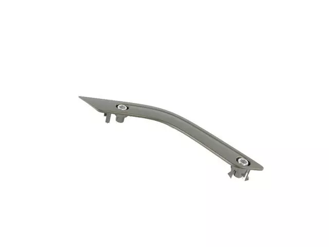 Grab Handle Bezel, Right - Mopar (6GH081D4AA)