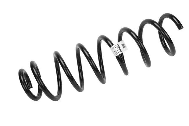 Rear Coil Spring - GM (84302517)