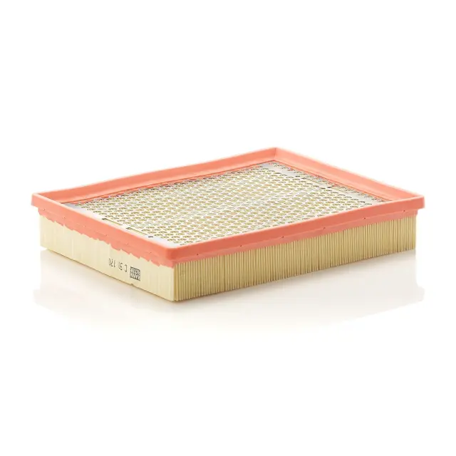 C30170 - : Air Filter for MANN-FILTER Image