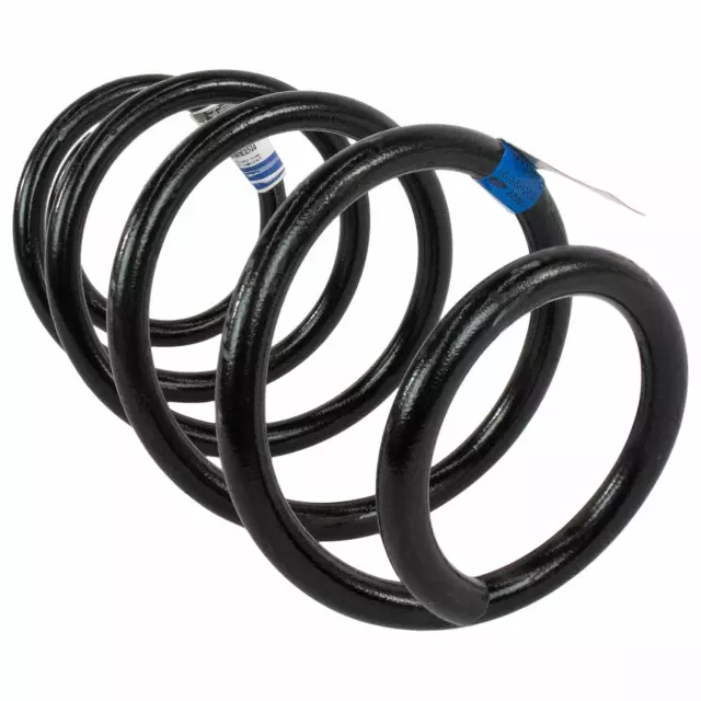 DG1Z5310K - Suspension: 2013-2019 Ford Coil Spring for Ford: Police Interceptor Sedan, Taurus Image