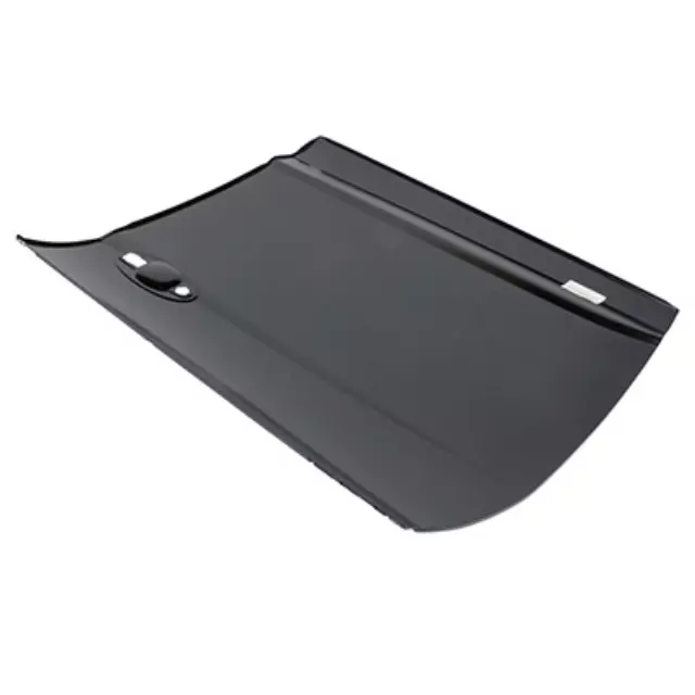 Outer Panel - Ford (DM5Z-5820200-A)