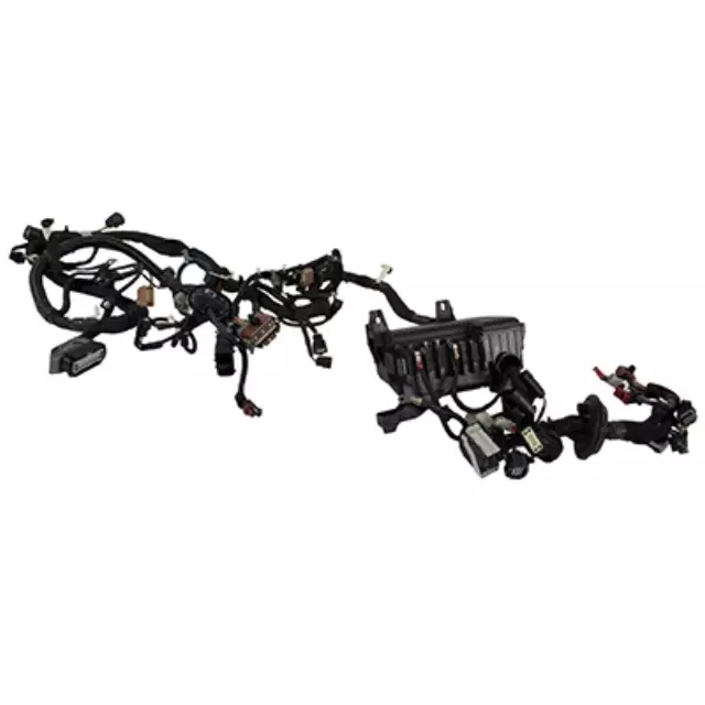 Wire Assembly - Ford (FL3Z-12A581-BD)