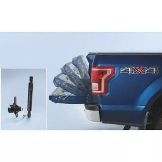 FL3Z99406A10A - : Bed Tailgate - Viscous Dampening Cartridge for Ford: F-150 Image