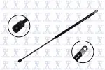 84743 - : Hood Lift Support for Focus Auto Parts Image
