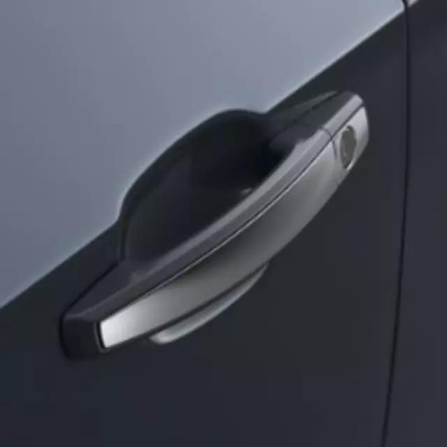 Door Handles Sets, Sedan - GM (95938935)