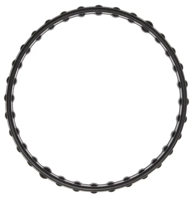 C32869 - Cooling Systems: Engine Coolant Thermostat Seal for Mahle Image