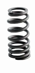 ERV1615 - : Engine Valve Spring for Enginetech Image