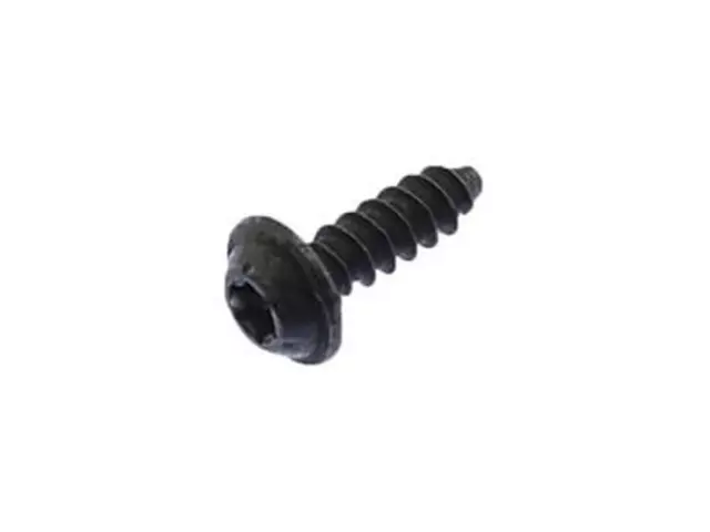 Tail Lamp Assembly Screw - Ford (W713090-S307)