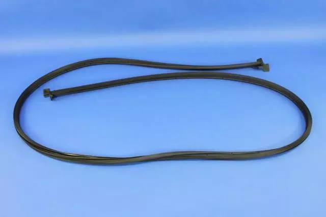 68229639AC - : Cargo Door Weatherstrip for Mopar Image