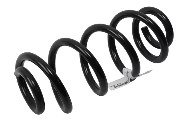Rear Coil Spring - GM (42743541)