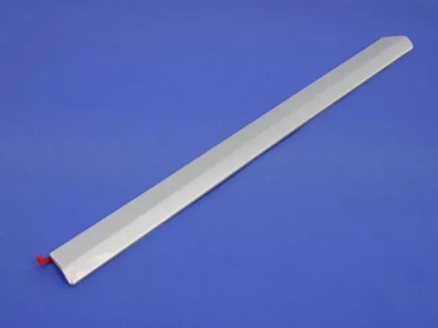 Side Molding - Mopar (1CH94WS2AB)