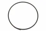 24284512 - : F (S)Ring for GM Image