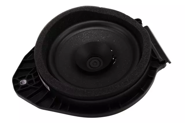 Radio Rear Side Door Speaker - GM (23509336)