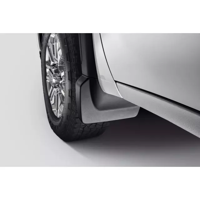 Mud Guard - GM (84254759)