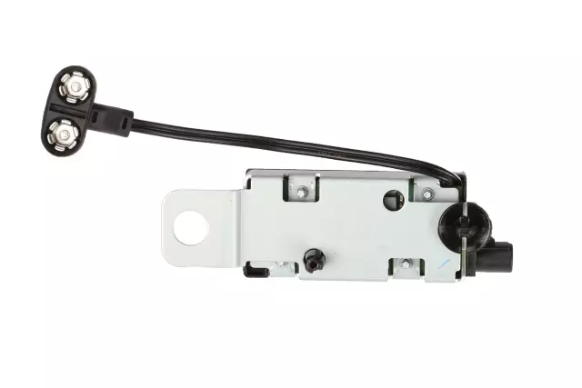 Radio Antenna Amplifier - GM (13469768)