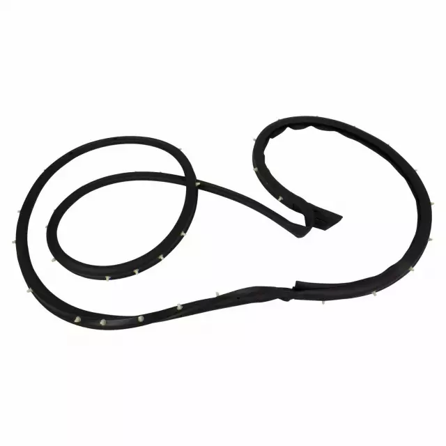 Door Weather-Strip - Ford (DN1Z-7420530-D)