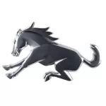 M2DZ9942528A - Body: Ornament for Ford: Bronco Image