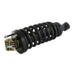 811318 - : Ford, Lincoln, Mercury Suspension Strut and Coil Spring Assembly  - Front for GSP Image