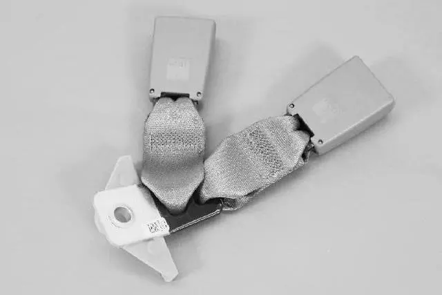 1CA87BD1AA - : 2 Passenger Inner Seat Belt for Chrysler: Town &amp; Country | Dodge: Grand Caravan | Ram: C/V Image