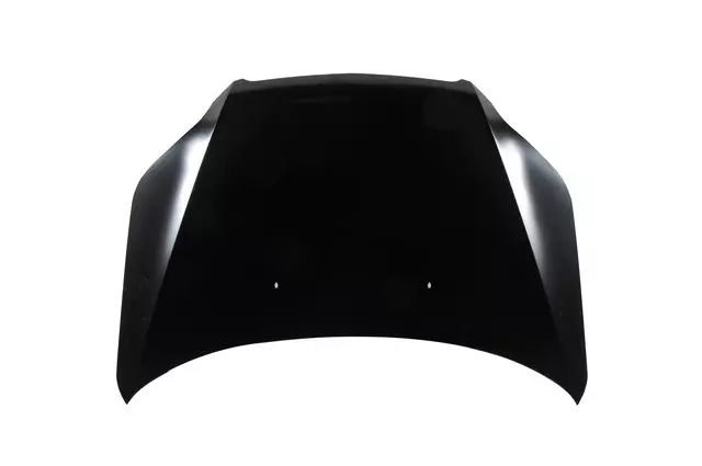 95190194 - : Hood for GM Image