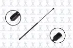 86444 - : Focus Auto Parts Hood Lift Support for Focus Auto Parts Image