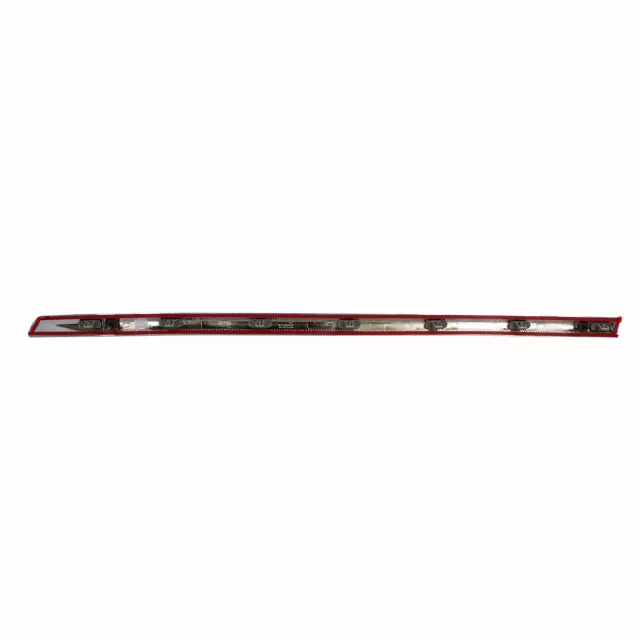 Door Molding - Ford (JL7Z-4025556-B)