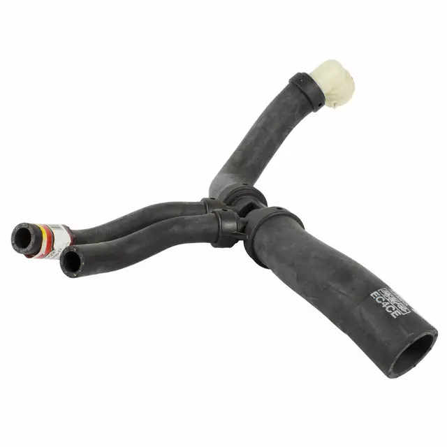 FL3Z8286D - Cooling System: Lower Hose for Ford: F-150 Image