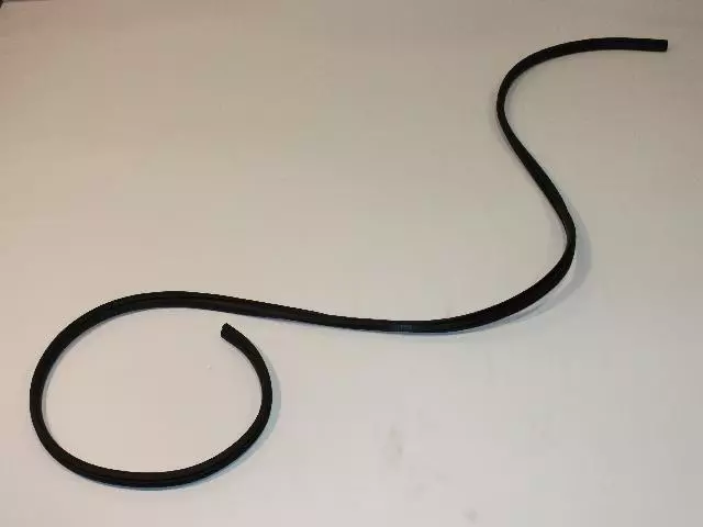 Door Opening Weatherstrip - Mopar (55112360AC)