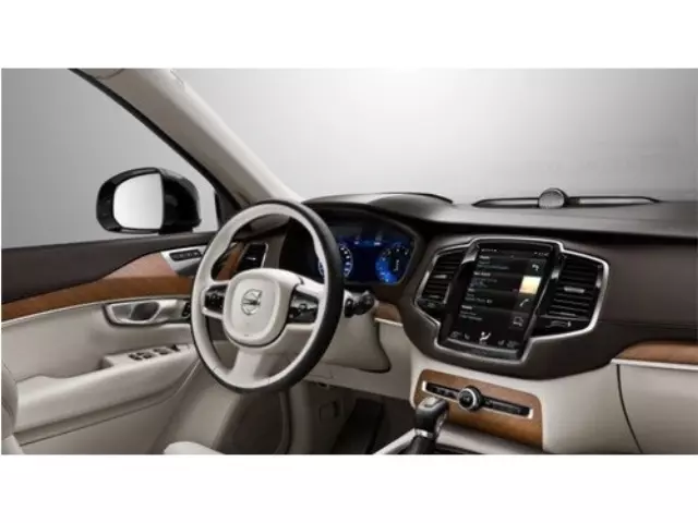 31470055 - Interior: Decor Panel, Doors, Dark Flame Birch for Volvo Image