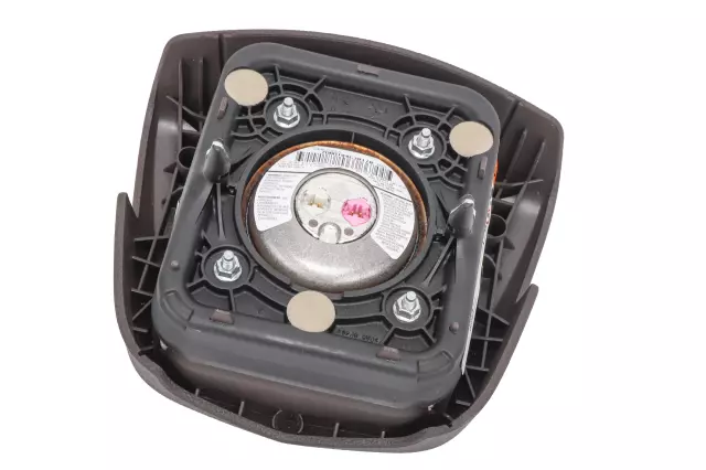 Driver Air Bag - GM (84420087)