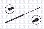 86755 - : Focus Auto Parts Hood Lift Support for Focus Auto Parts Image