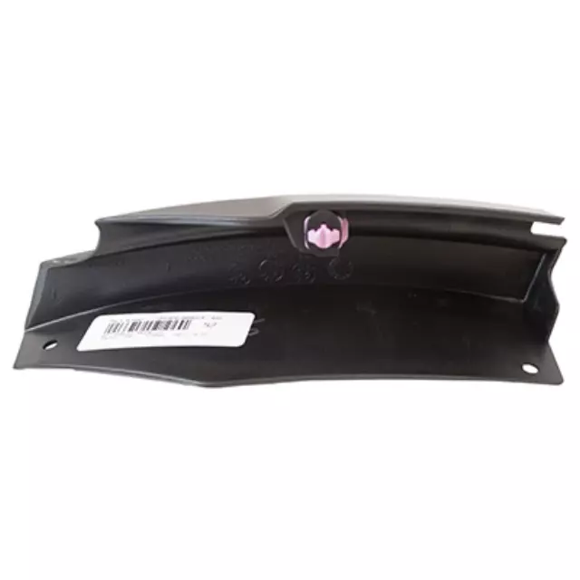 Front Molding - Ford (8L8Z-7829039-APTM)