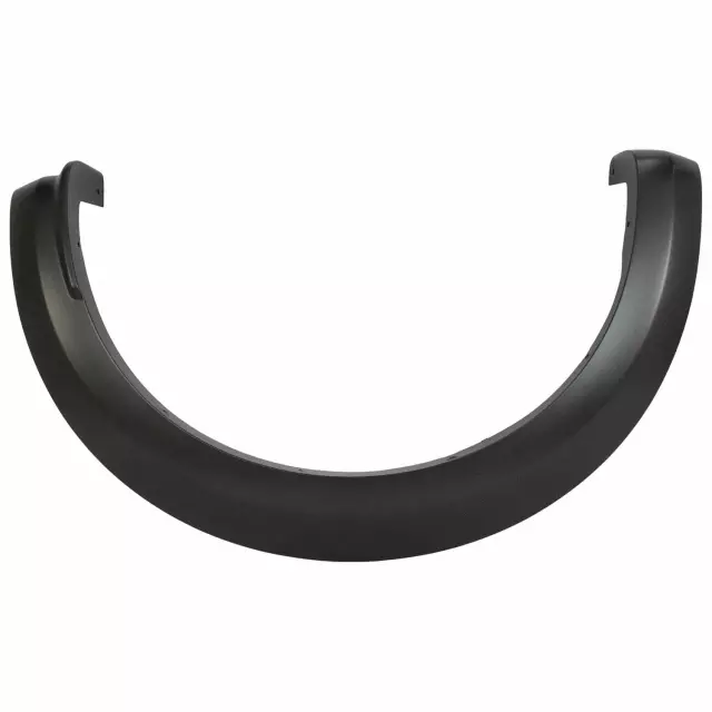 Molding - Ford (HL3Z-9929165-AAPTM)