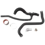 15804 - : Cooling System Upgrade Kit for 2005-06 Ford Mustang GT for Edelbrock Image