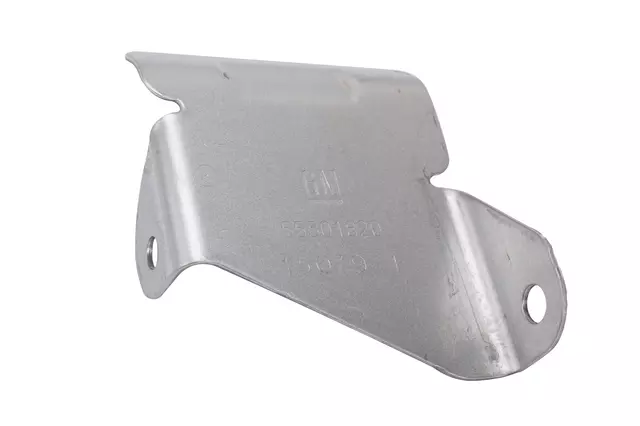 Water Pump Cover - GM (55501820)