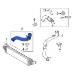 LX6Z6F073U - : 2020-2024 Ford - Inter-Cooler Hose for Ford: Escape, Maverick | Lincoln: Corsair Image