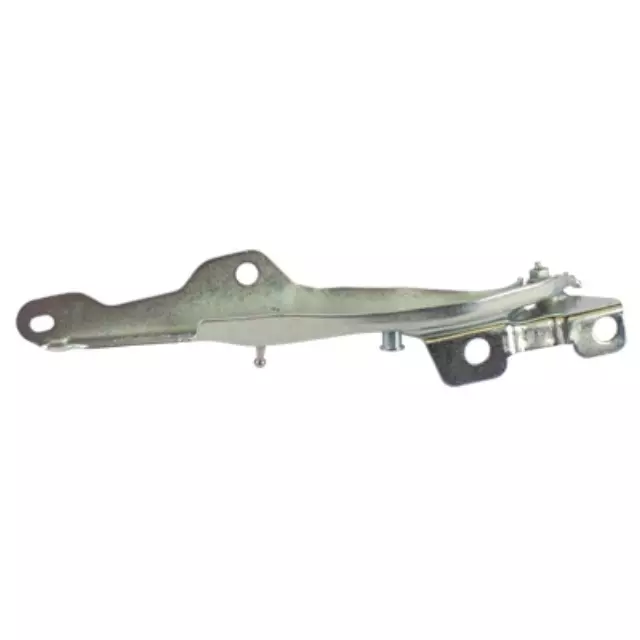 2012-2017 Ford Expedition - Hinge - Ford (CL1Z-16796-A)