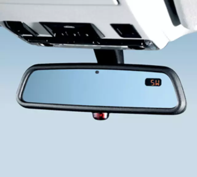 Rear-View Mirror With Compass And Universal - BMW (51-16-9-192-335)