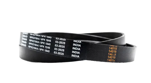 1BP02218AA - : OEM Belt for bproauto Image
