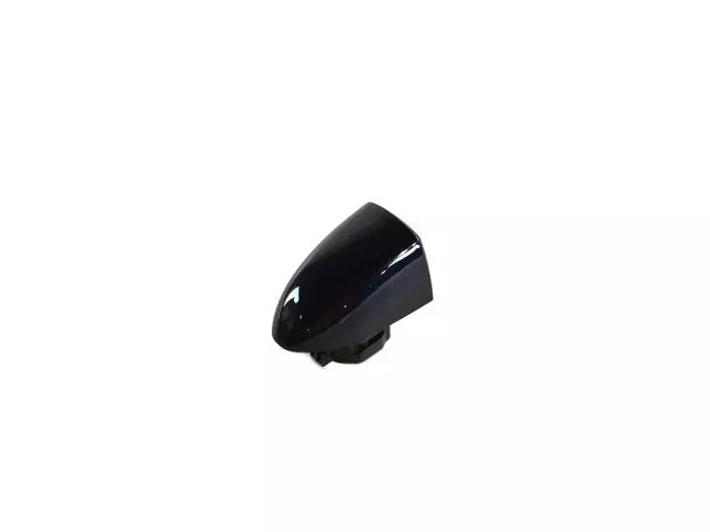 Door Handle Cap, Right - Mopar (1SZ28KBUAE)